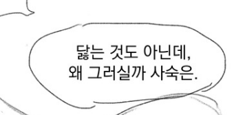 와구 tweet media