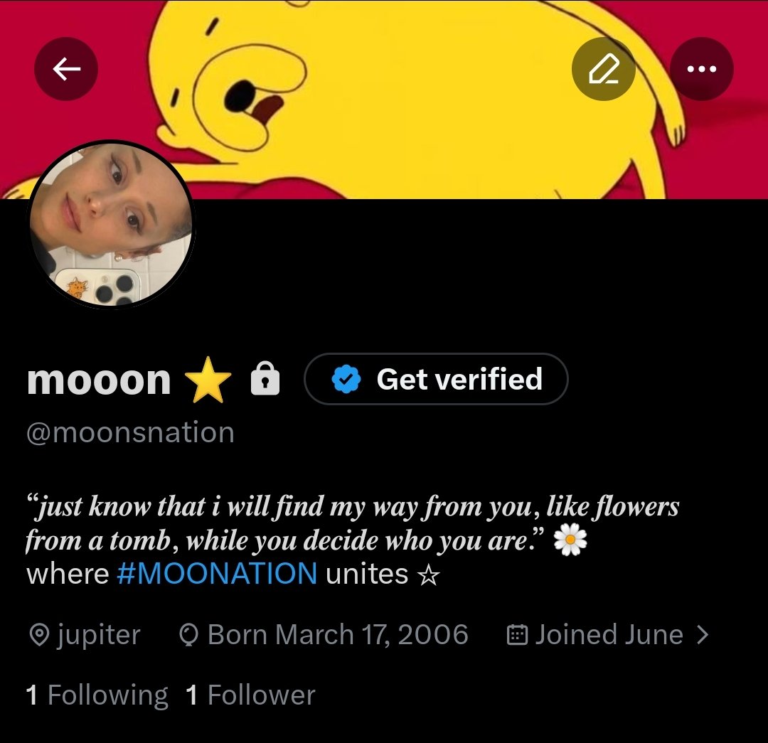 moon 🖇️ tweet media