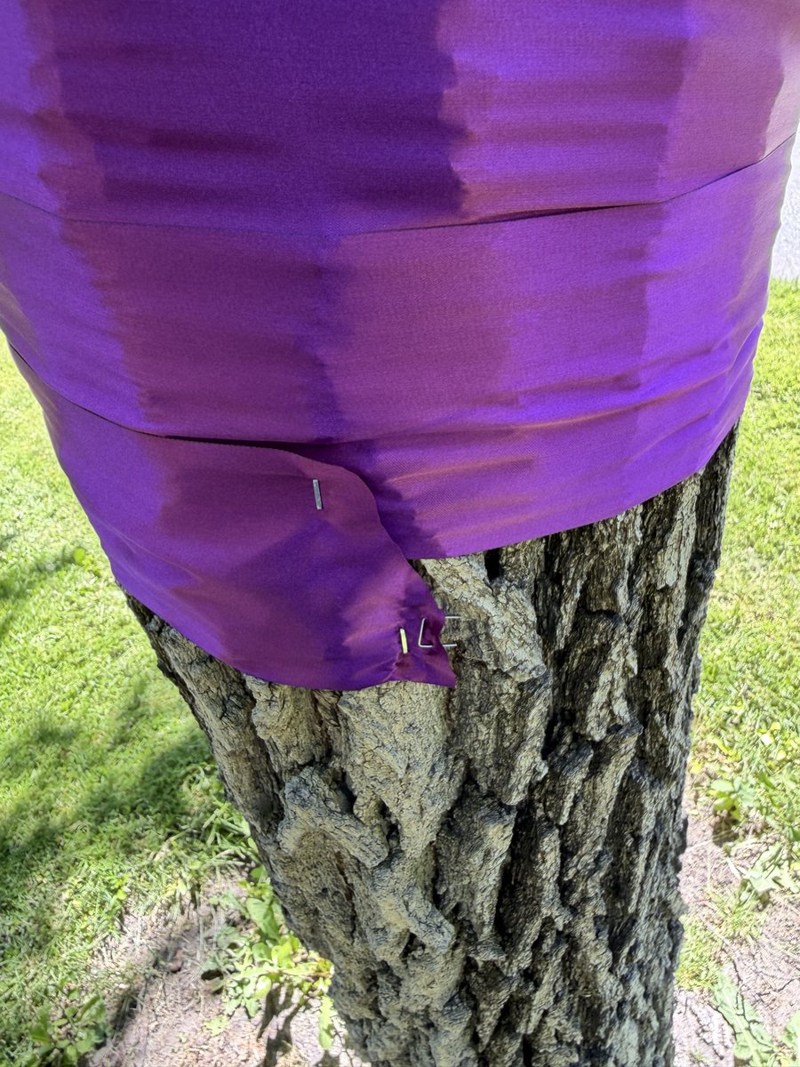 oldstatemark's tweet photo. It’s time to give the trees in Boise a SAFE SPACE away from Pride/lgbtq who have decided to STAPLE their wicked ribbons to the trees as they celebrate their sexual victimization of children, “transgenderism.”

Pride is evil. Even the trees feel it. https://t.co/CnJjUllyBd