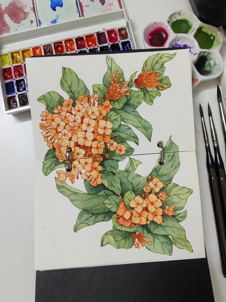 taco_problems's tweet photo. Try 15 mins of watercolor sketching daily—small steps, big joy!  It’s never too late to nurture a quiet, creative hobby that sparks calm. #HobbyGrowth #CreativeLiving， https://t.co/VkZmq50F44