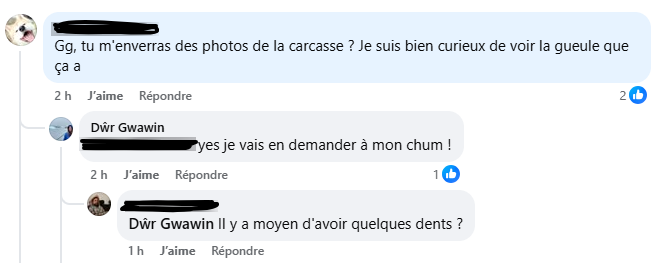 SucreDeColmar's tweet photo. Voici une grosse merde qui est fière d'avoir tuer un Ours qui ne lui a absolument rien fait ! Il faut changer la loi au Québec !
#StopCorrida #antichasse #L214 https://t.co/DB4Gcc0YLk