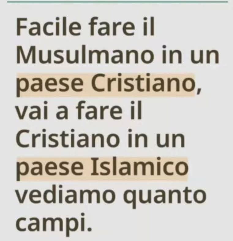 ___Anna22's tweet photo. Quanto un gatto in tangenziale. https://t.co/WtaHCugSnT