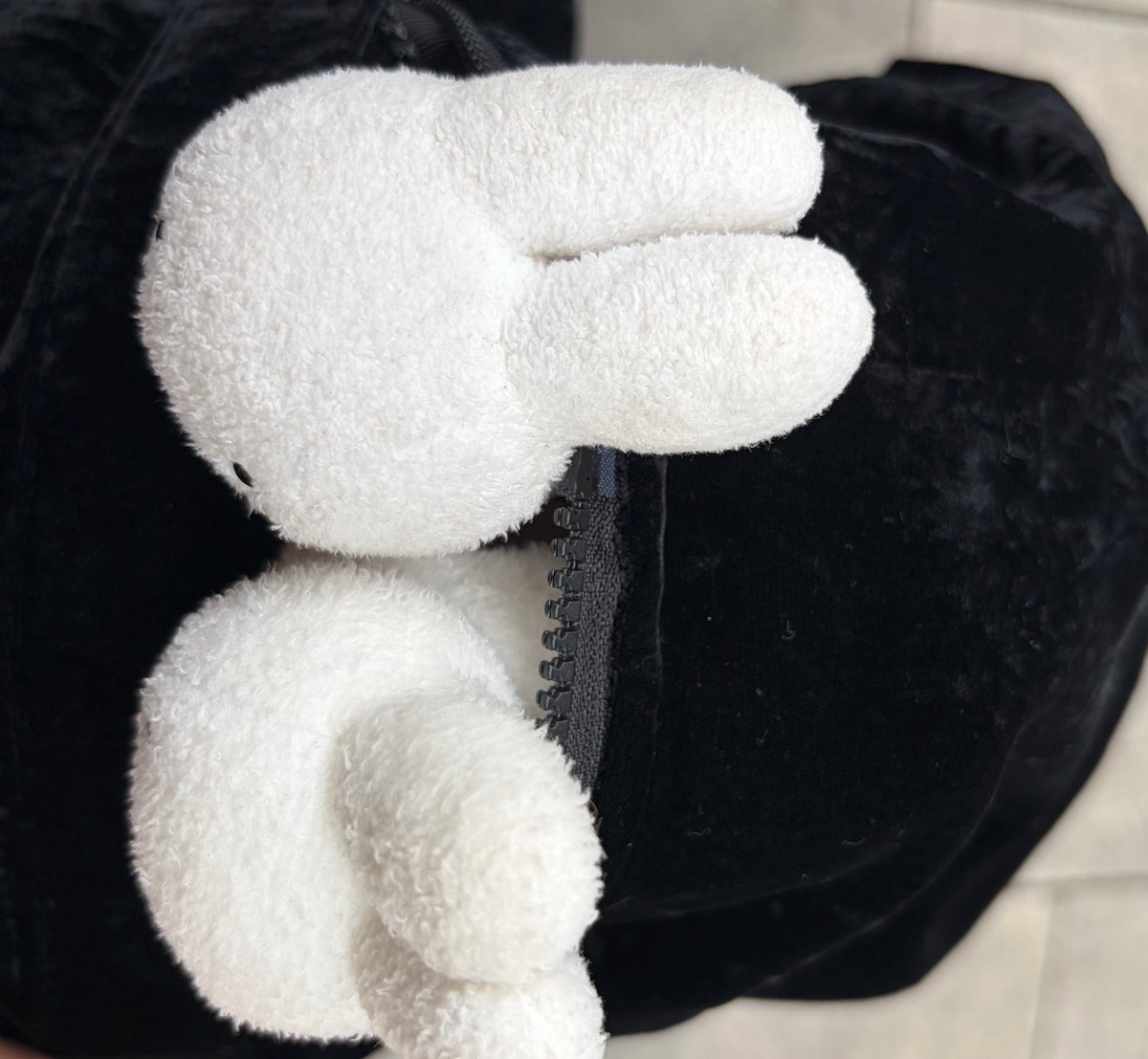 miffychamcham's tweet photo. https://t.co/jWuKlIMSoC