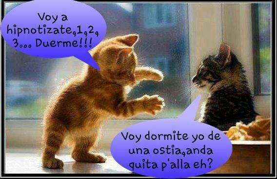 coolfunnnn's tweet photo. se re enojooooo nooo porqueee no te enonjessss https://t.co/UA4ol8JtNn