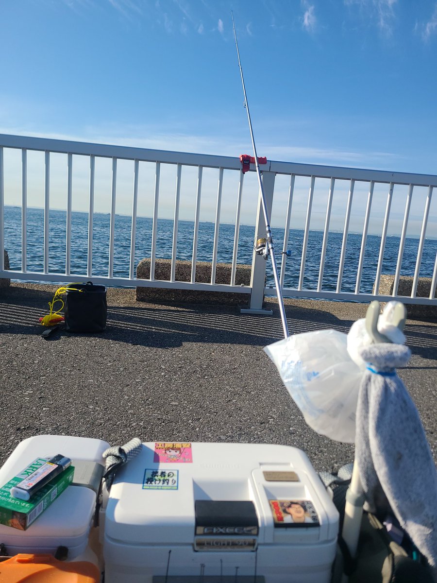 sc080604's tweet photo. お魚さん留守っぽい😅😅😅 https://t.co/X7s0914mPI