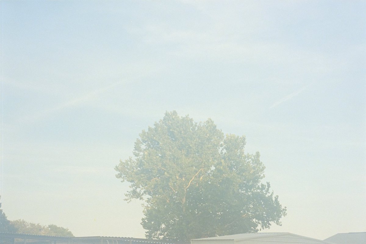 PhotofavM's tweet photo. Contax TVS III // FUJIFILM 400 https://t.co/FLC3nXI9eX
