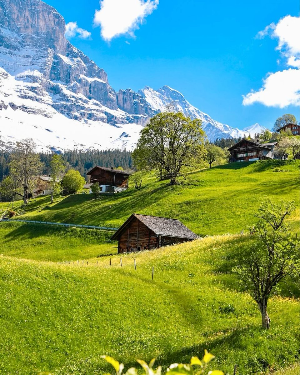 Yum_bite_'s tweet photo. Switzerland 🇨🇭 https://t.co/N4zvrW8MdI