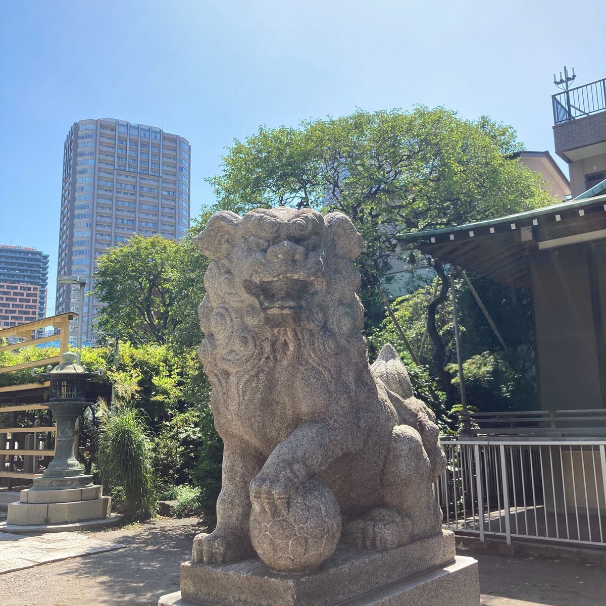 himatrip55's tweet photo. 中央区佃、住吉神社

江戸時代初期に､大阪の佃から家康の名で江戸に移住した漁師さんと共に､分社された神社。

海で働く人たちの信仰も集めていて、そのせいか狛犬さんも凛々しい。

#ひまとりっぷ
#狛犬さん
#中央区 https://t.co/mhMWwYAMtE