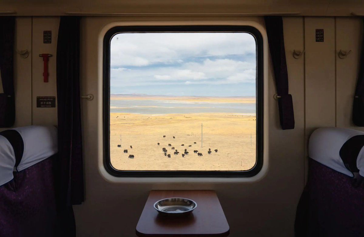 Drockxonmarsz's tweet photo. Just took an early morning train to the city for a quick work trip—smooth ride and awesome sky views through the window! https://t.co/oEYBfaSSkr