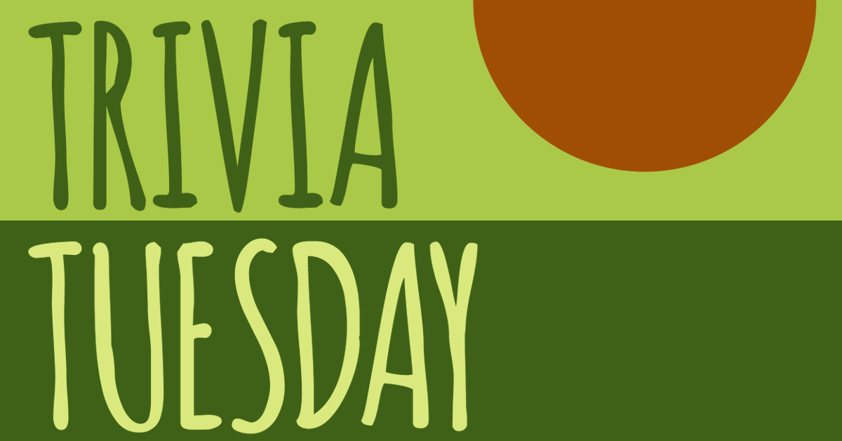 abcprint_com's tweet photo. 🥑 Tuesday Trivia!
What is the primary ingredient in the popular dip, guacamole? https://t.co/Bqc03efsoz