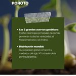 Photo by Proyecto Micropolis (@MicropolisCL)