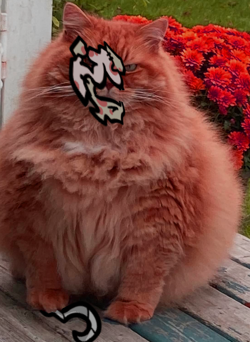 Maisie mewgenics (mikhey rey) tweet media