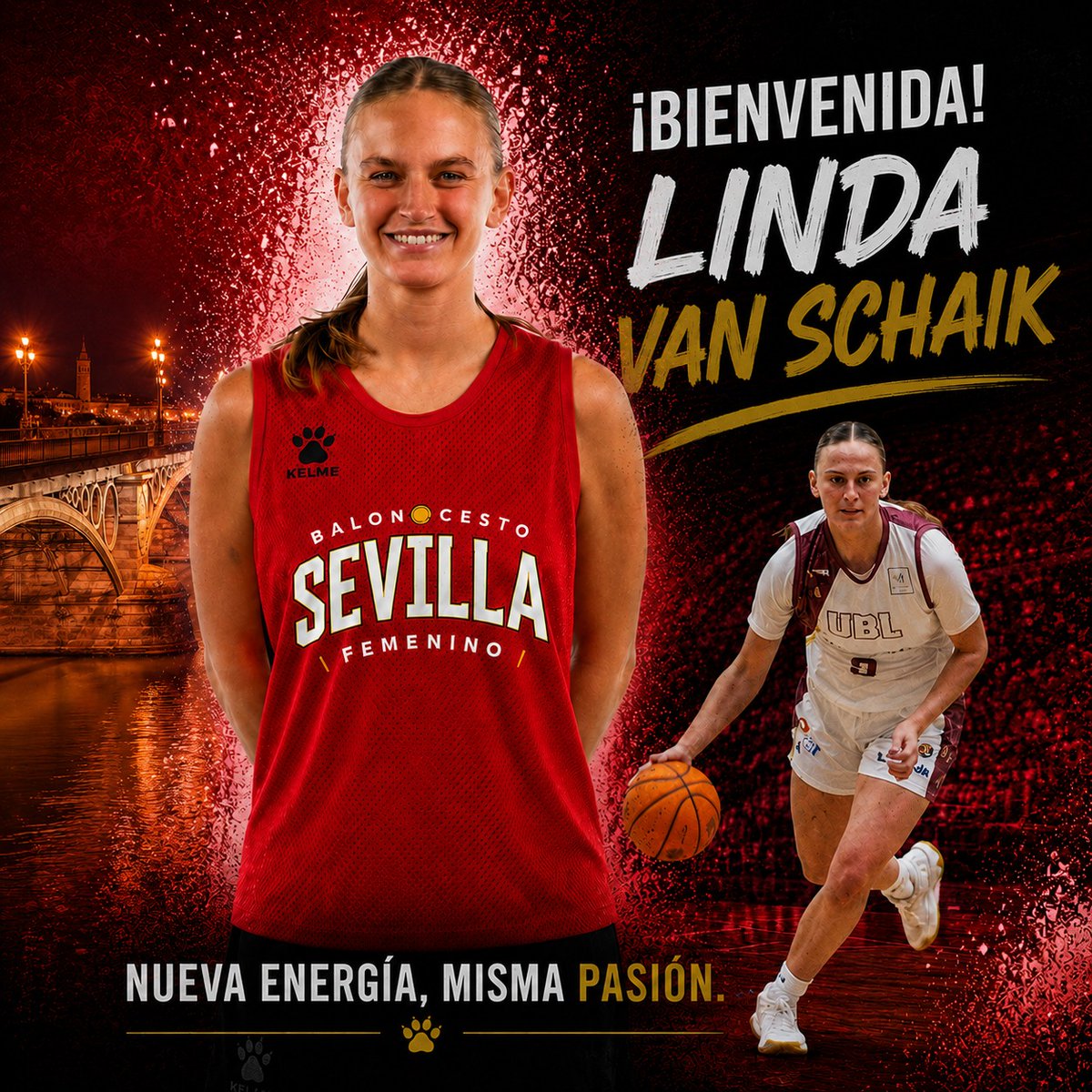 CompeticionFEB's tweet photo. 🚨 Mercado #LFChallenge: Linda van Schaik llega al proyecto del Cajasol @cbsfemenino 

▶ Internacional neerlandesa que cumplirá su tercera temporada en la competición

🗓️ 2000 | 📏 1,78 m.
⛹️‍♀️ Alero | 🌍 Neerlandesa

📝 Más información ⬇️
https://t.co/I80z9MGaoC https://t.co/mUlSX6Z0mO