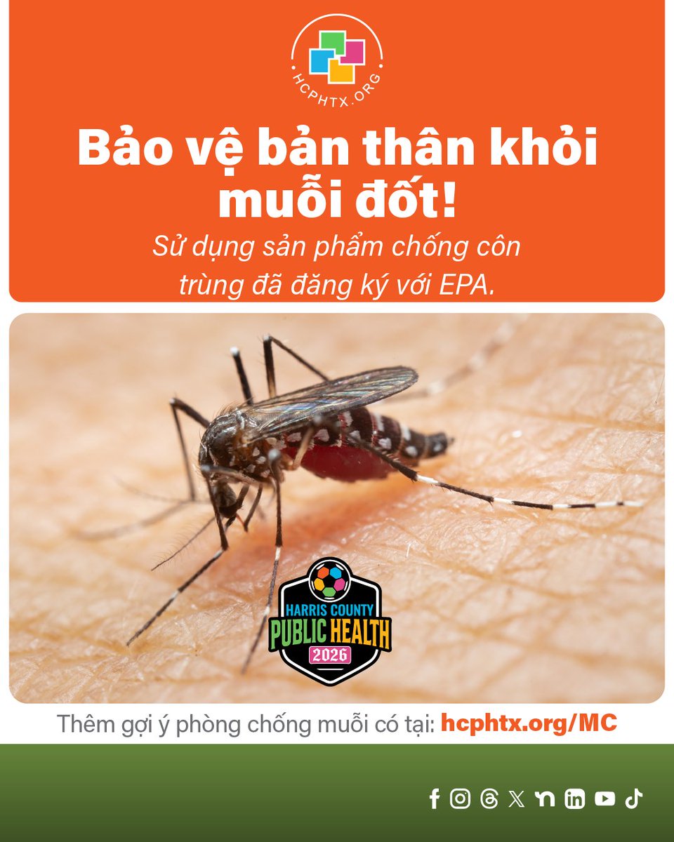 hcphtx's tweet photo. With the recent heavy rains and flooding in Harris County, standing water is creating ideal breeding grounds for mosquitoes. Protect yourself and reduce mosquito breeding around your home with these steps:

- Use EPA-registered insect repellent
- Wear long sleeves and pants when possible
- Empty standing water from containers, flowerpots, buckets, and birdbaths
- Keep window and door screens in good repair
- Avoid outdoor activities during peak mosquito hours when possible

Small actions can make a big difference in preventing mosquito bites and the spread of disease.

For real-time updates on mosquito activity and prevention tips, visit https://t.co/JyqxLiTy9q. 

Visit https://t.co/2uOsO3p66g to learn more.