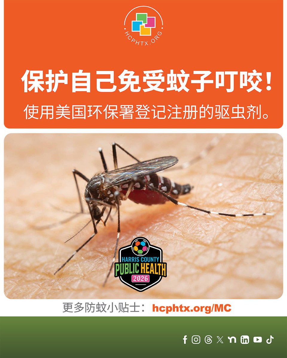 hcphtx's tweet photo. With the recent heavy rains and flooding in Harris County, standing water is creating ideal breeding grounds for mosquitoes. Protect yourself and reduce mosquito breeding around your home with these steps:

- Use EPA-registered insect repellent
- Wear long sleeves and pants when possible
- Empty standing water from containers, flowerpots, buckets, and birdbaths
- Keep window and door screens in good repair
- Avoid outdoor activities during peak mosquito hours when possible

Small actions can make a big difference in preventing mosquito bites and the spread of disease.

For real-time updates on mosquito activity and prevention tips, visit https://t.co/JyqxLiTy9q. 

Visit https://t.co/2uOsO3p66g to learn more.