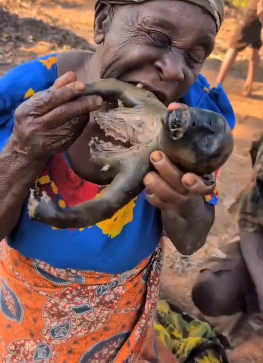 SecOfDOGE's tweet photo. @B1TuckerCarlson Your mother eating dinner with you had your ancestors not been given that free boat ride across Atlantic Ocean to pick the most expensive cotton in world history. https://t.co/7YEFXp743h