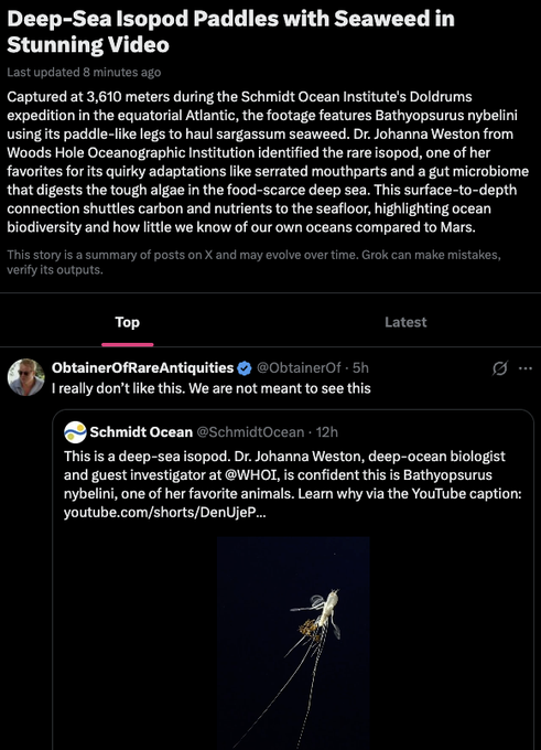 Rudolfr tweet media
