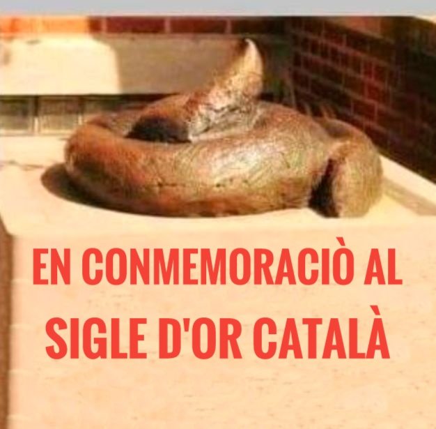 miguelsebir's tweet photo. El típic CAGANER de Barçàlona sense respete als valencians, pero el CAGANER vol que respeten la seua incultura, que si cultura tingueren, no copiarien de les lletres valencianes del sigle d'or lliterari, y despuix dir que el valencià es un dialecte del català.
Acomplexats. 👇🏻😘 https://t.co/jVIHYRRRyo