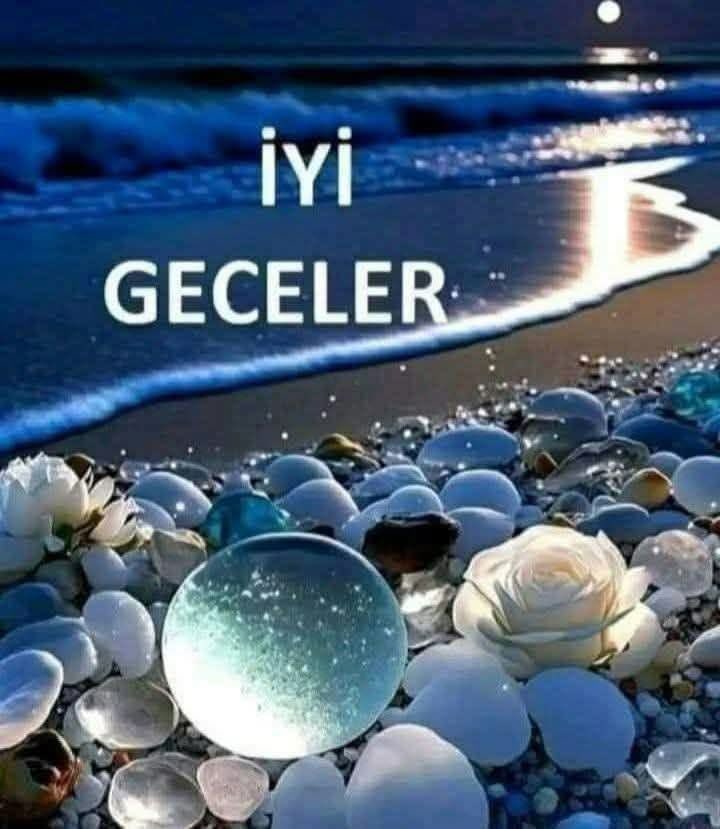 Bahri Şen tweet media