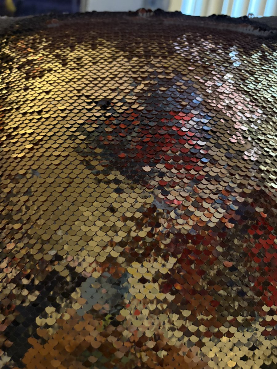 muppetgosling's tweet photo. sometimes i forget this is a gosling pillow and get really scared when i flip the sequins https://t.co/rYXEB5OLLd