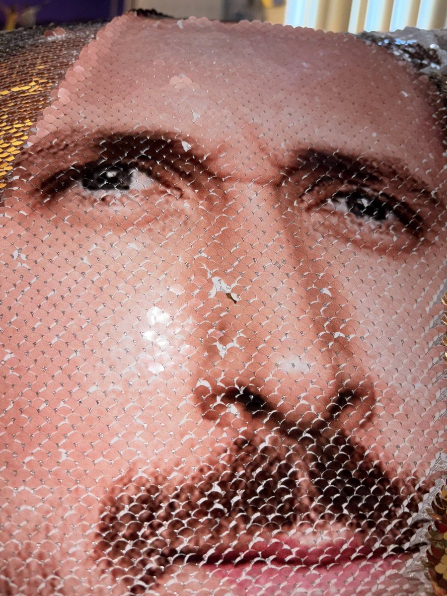 muppetgosling's tweet photo. sometimes i forget this is a gosling pillow and get really scared when i flip the sequins https://t.co/rYXEB5OLLd