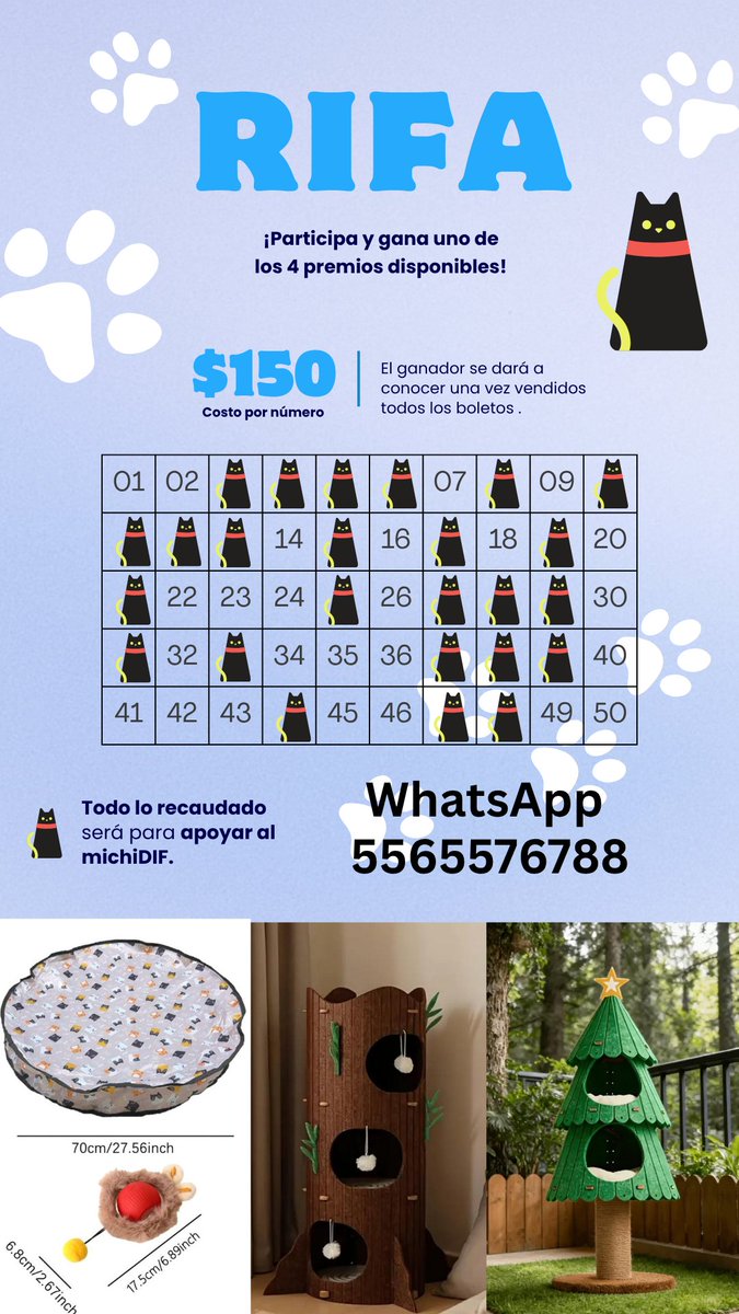 MeowWorkshop's tweet photo. Seguimos con la rifa para poder cubrir el tratamiento de esta pequeña 🐾🐾 nos echan una garrita?? https://t.co/NgU0zTJqgA