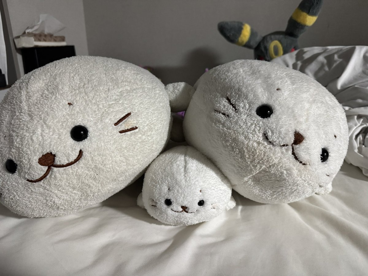 tama_tmtm_'s tweet photo. 写真見返してたらあまりにも今の状態が黄ばみすぎて涙出てきた(1枚目)
昔はこんなにしろかったのに... https://t.co/ouKnlPoWcs