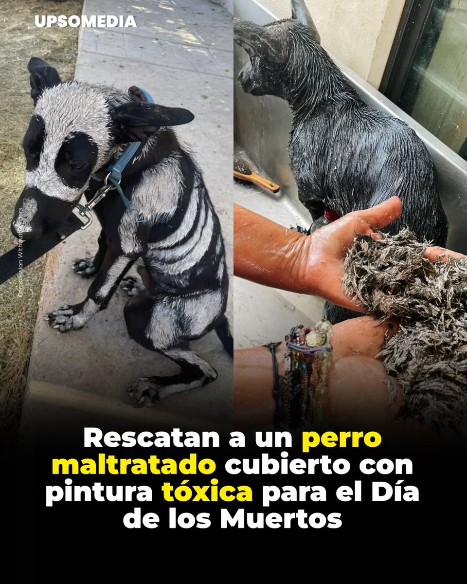 XxiJusticia's tweet photo. 2022 en México 😡 https://t.co/kIXevuVuQq