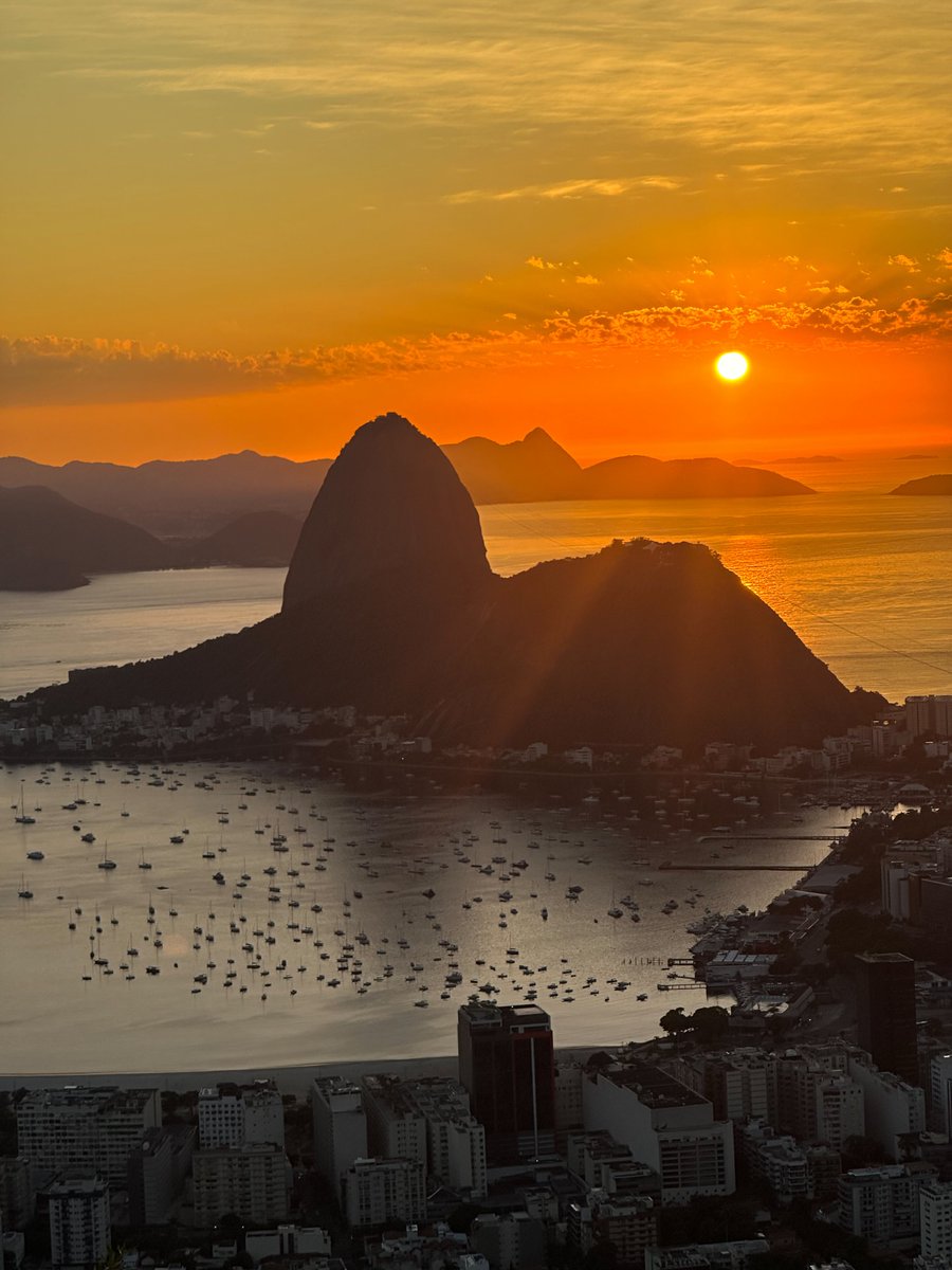NatureRoot88's tweet photo. Rio de Janeiro, Brazil 🇧🇷 https://t.co/TKuHSkXd49
