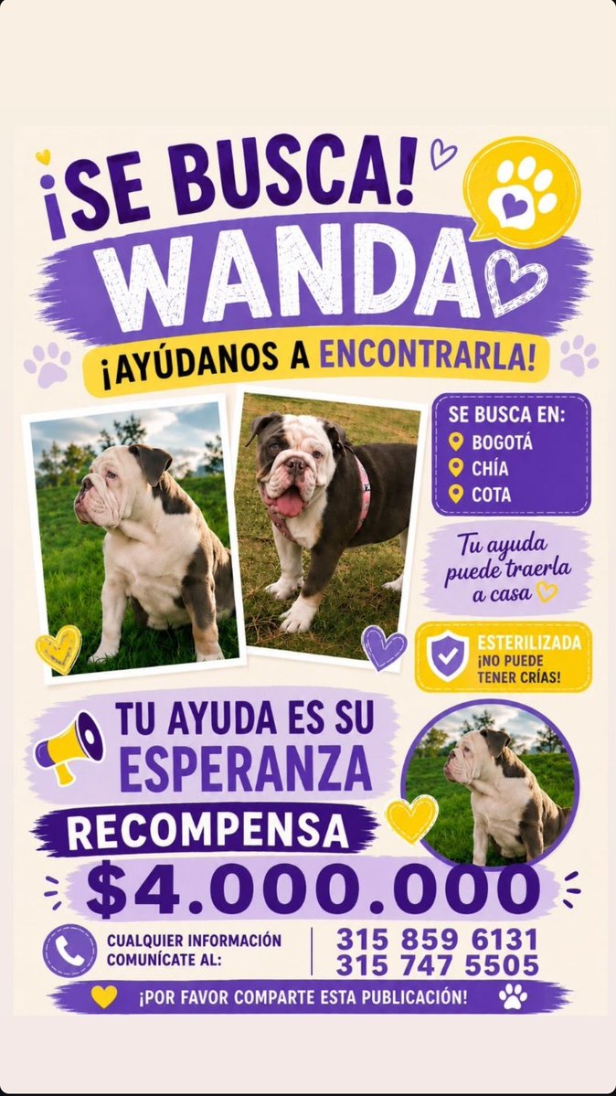 Joha_3ana's tweet photo. @losbuscamos_col @MONYRODRIGUEZOF 

Cualquier RT se agradece mucho! https://t.co/6BAiJdZDpG