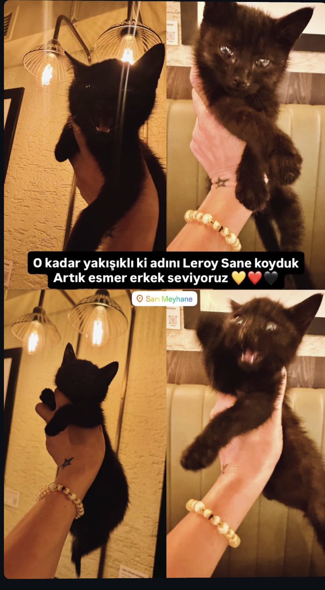Nilgün Kılıçaslan tweet media