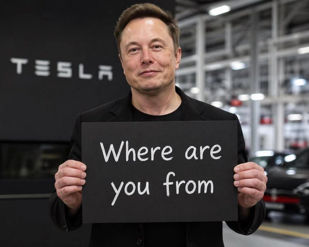 Elon Alexander tweet media