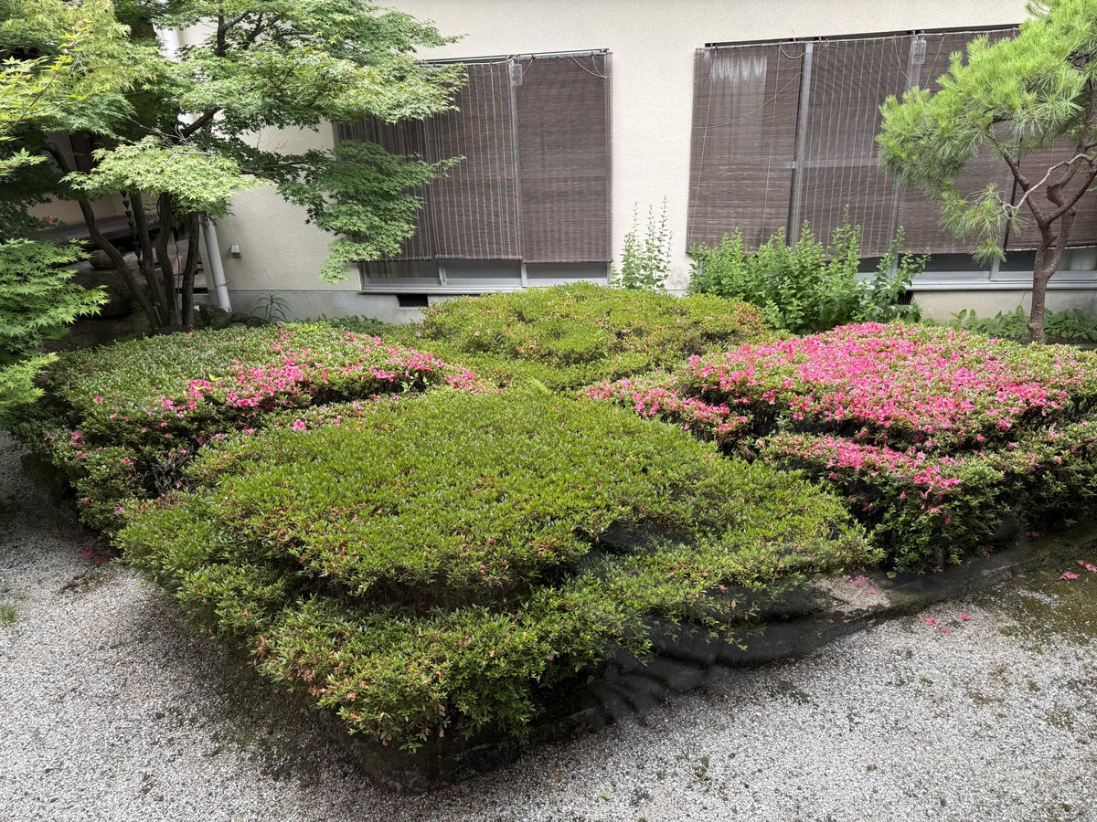 tkzw_b's tweet photo. ⏰2026/06/06
🪷東光寺
🗺️山梨県甲府市
https://t.co/gNddJxPD59

#山梨県 #甲府市 #東光寺

お久しぶりに
頼重(戦国の、信玄に殺された方の頼重)
義信
のお墓に手を合わせる https://t.co/GMJOSqezw8