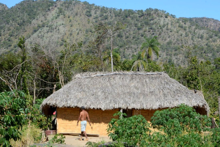 MPF_PGR's tweet photo. Seguindo parecer do MPF, TRF1 impede reintegração de posse contra a comunidade Kalunga do Mimoso, no Tocantins

➡️ Saiba mais: https://t.co/9IMxIpMYId https://t.co/bDbvk91BiQ