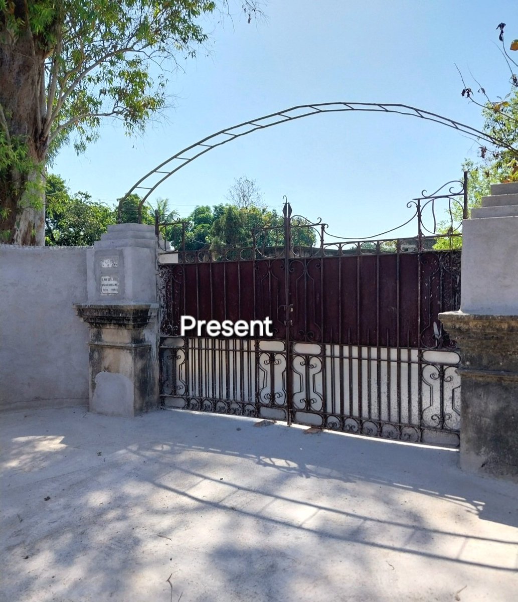 ReshmiChatt3's tweet photo. Ailing senior's property targeted in Giridih. Suresh Mahato's waste killed 33yo tree—violating #SwachhBharat &amp; #EkPedMaaKeNaam. Unlawful ads painted on wall. @DCGiridih &amp; Municipality ignore it. Is administration colluding with criminals?Will justice be denied to lady owner? https://t.co/6GhDXBPzTP