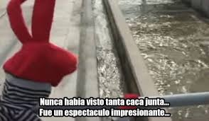 DonBoja's tweet photo. @luisghernan @_VicenteSerrano https://t.co/Zh1WU8e2xW