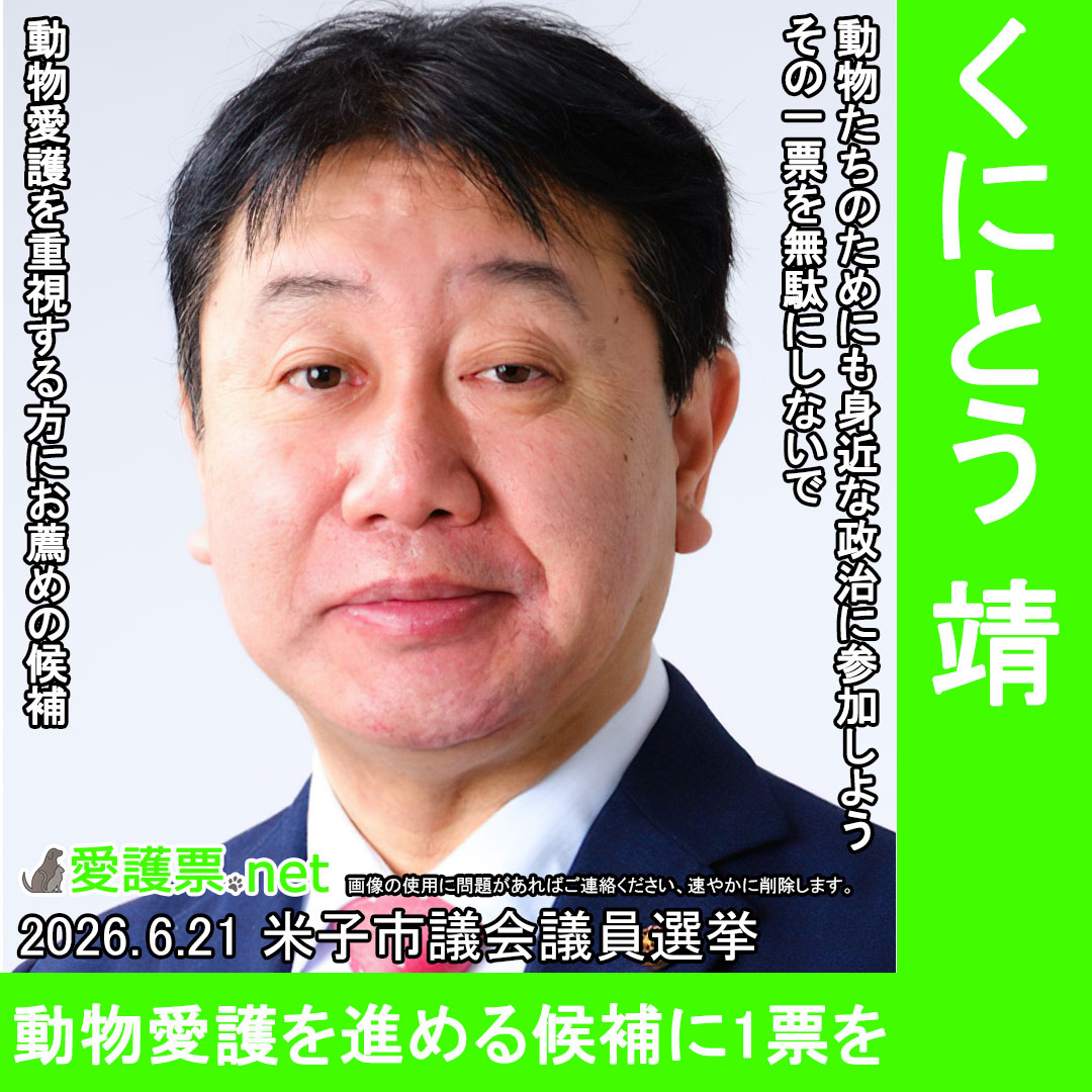 aigohyo's tweet photo. 米子犬猫NET、鳥取県動物愛護議員連盟に所属

#米子市議会議員選挙 
#くにとう靖

#動物愛護 にも目を向ける候補を応援しよう

選挙期間中 #拡散希望

詳細は愛護票.netに掲載→https://t.co/xLAxoofM7p

#動物虐待反対 #殺処分反対 #保護猫 #保護犬 #地域猫 #米子市 https://t.co/hGPS6aqxJD