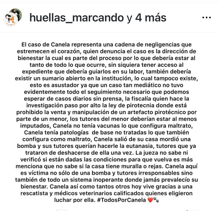 IsabelMezquita4's tweet photo. Cuestiono públicamente y lo haré por las vías oficiales al Director de la Direccion de bienestar animal @hector_rubin por mal desempeño de sus funciones específicamente en el caso Canela🐕 al NO abrir el sumario administrativo correspondiente para la investigación. 
👇 https://t.co/Qp27bqDyp3