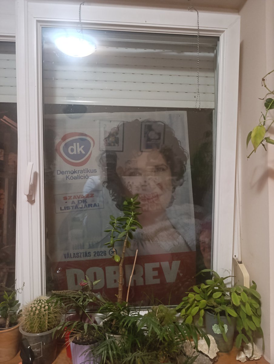erkolcsi_lejto's tweet photo. ÜVÖLTÖK, olvasok az ágyamban, valami zörgést hallok az ablakomnál, felnézek és ez fogad 😭😭😭😭 öcsém ezzel tért haza xd https://t.co/DqAn3PULWj