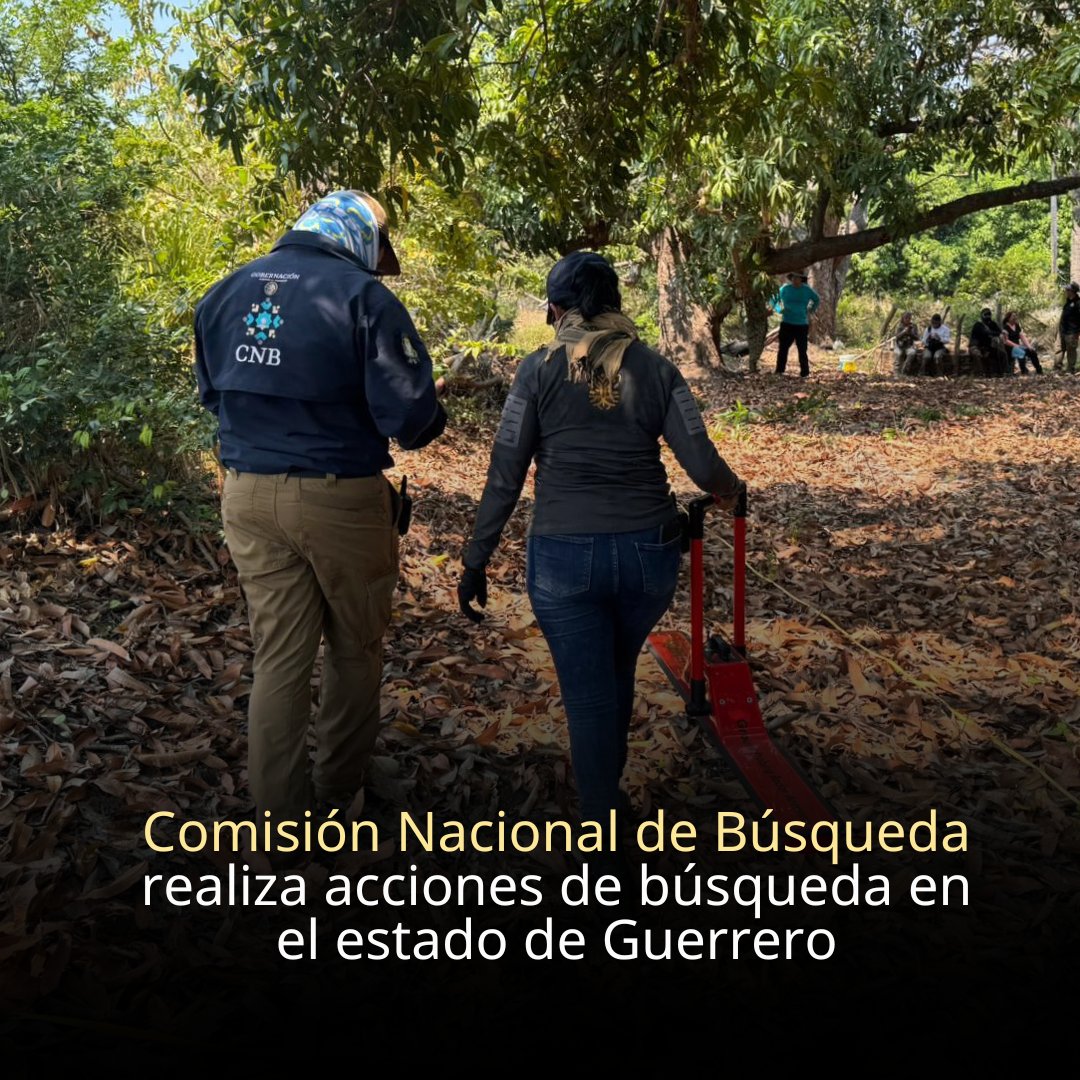 Busqueda_MX's tweet photo. ⚠️ #AccionesDeBúsqueda | #Guerrero | #Nacionales

Personal de la Comisión Nacional de @Busqueda_MX acudió al municipio de #Tecpan, en el estado de #Guerrero, como parte de las acciones permanentes para la localización de personas desaparecidas con la participación de familias de personas desaparecidas.

La jornada de búsqueda contó con la participación coordinada de funcionarios de la Fiscalía General de la República, la Comisión de Búsqueda de Personas del Estado de Guerrero, @GN_MEXICO_ , la @Defensamx1 y la Policía Estatal de Guerrero

Para el @GobiernoMX estas labores en territorio son prioridad nacional. Continuamos fortaleciendo las búsquedas en vida y forense, con enfoque humanitario y de atención a las familias.

#HastaEncontrarles
