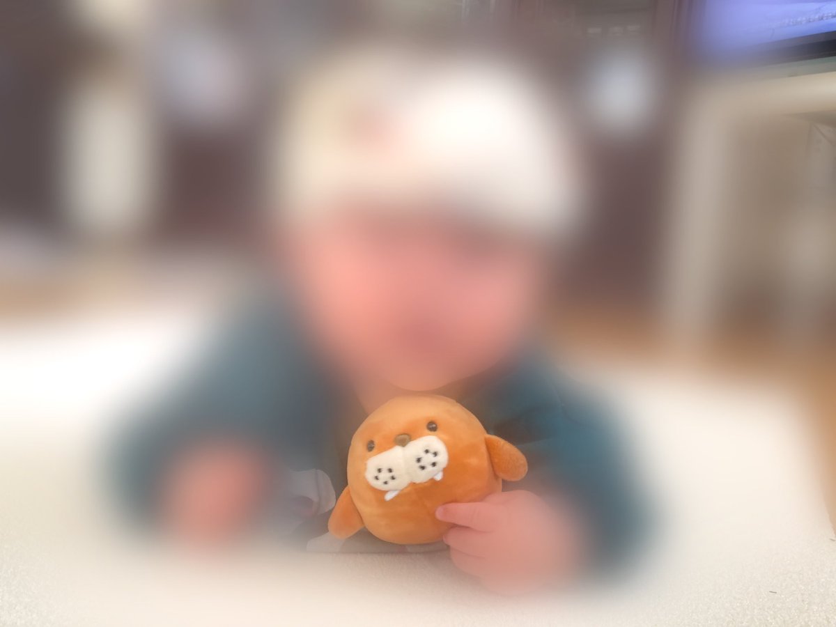 wakasho_bunko's tweet photo. 【探しています】セイウチのぬいぐるみを上野動物園でなくしました。6月4日14:10〜14:50、西園のキリン、コビトカバ、小獣館あたりで落としたみたいです。もし拾ってくださった方がいらっしゃいましたら、お手数ですがご連絡いただけないでしょうか。
#上野動物園 https://t.co/hWuyy0NIUw