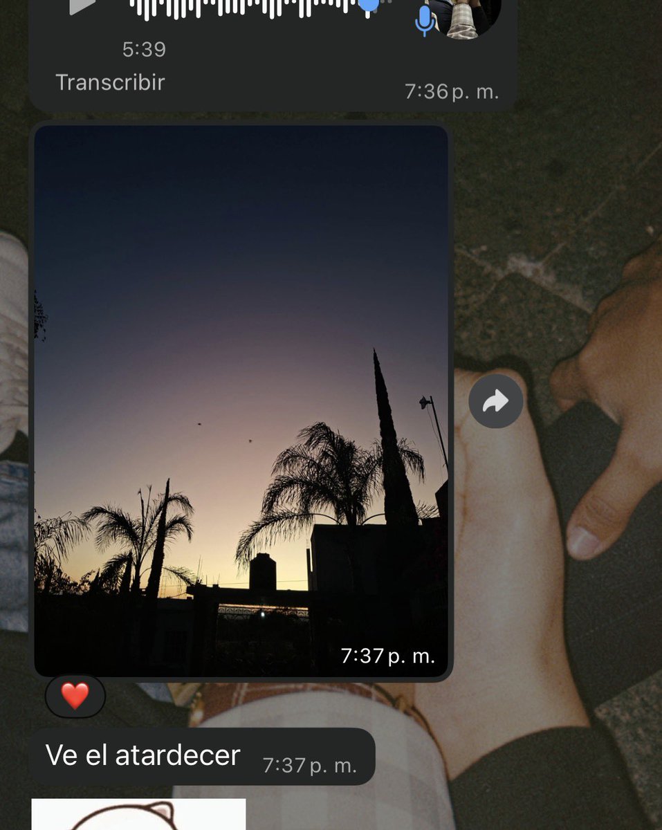 JulieeRG's tweet photo. El dijo: “Vi el atardecer y pensé en ti”  
Real lo manisfesteeeee 🥹💘 https://t.co/EHYwlzu4Cv