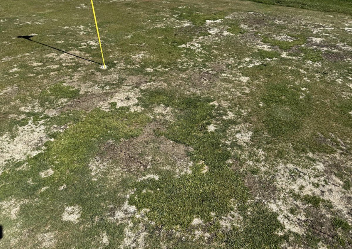 NUCLRGOLF's tweet photo. Almost $100 to play this golf course ⛳️ 

Should money of been refunded for the round? https://t.co/zHPcdCPt14