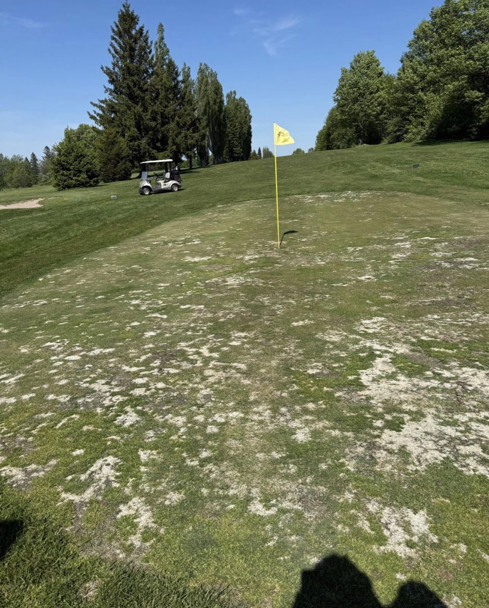 NUCLRGOLF's tweet photo. Almost $100 to play this golf course ⛳️ 

Should money of been refunded for the round? https://t.co/zHPcdCPt14