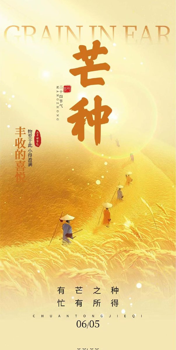 Chubao2022's tweet photo. gold for what’s ready
green for what’s to come
Mangzhong (Grain in Ear)
the season of harvest, sowing & tending
#Mangzhong #GrainInEar #SolarTerms #ChineseCalendar #SummerBegins #FarmLife #NatureLover #FieldsOfGold #SlowLiving https://t.co/jo9rD29wIZ