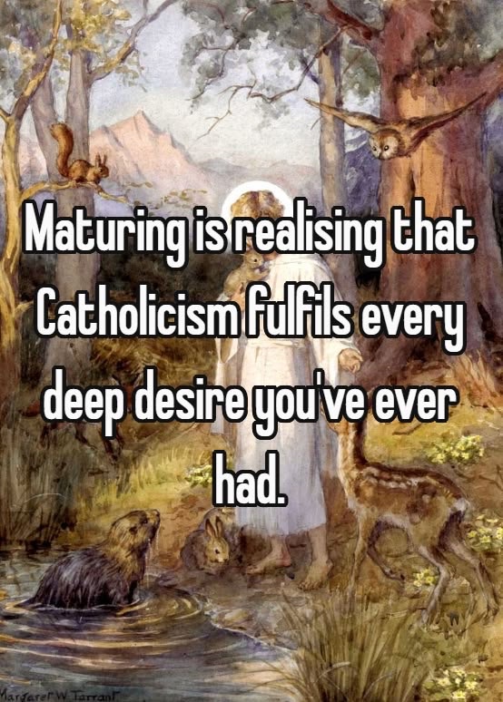 That Catholic Guy 🇻🇦 tweet media