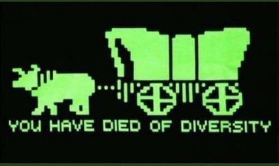 UnderDSon's tweet photo. @kylenabecker Why not a NAZI? They have transgenders, mentally incapacitated, anti-Americans, people devoted to their former Islamic nations over the US, heck, you can marry your brother and look like a lightbulb.💡 https://t.co/BNVyq1fmK0