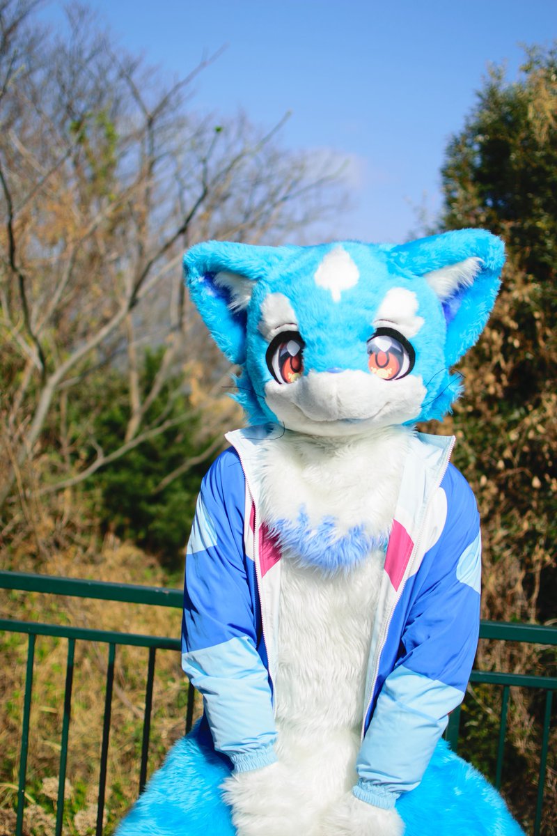 skycatvolare's tweet photo. ジョギングにいきませんか！🏃
#FursuitFriday https://t.co/FbXx2qZHNx