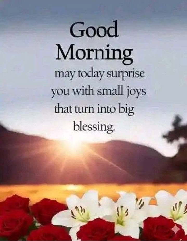 nk4640042's tweet photo. Good morning 🌅🌄 https://t.co/3Ihfuj29VZ