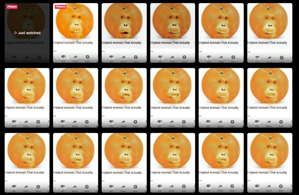 jadeyexmod's tweet photo. This has to be giga, a new brainrot character is blowing up on TT!

Millions of views and constant posts! An orange orangutan named Samuel Satsuma

Giga brainrot meme check it out

https://t.co/u1A8Vo1pvP https://t.co/V6MGN34n9J